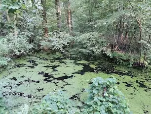 Biosphärenreservat Spreewald