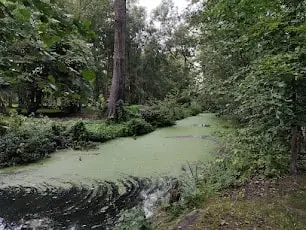 Biosphärenreservat Spreewald