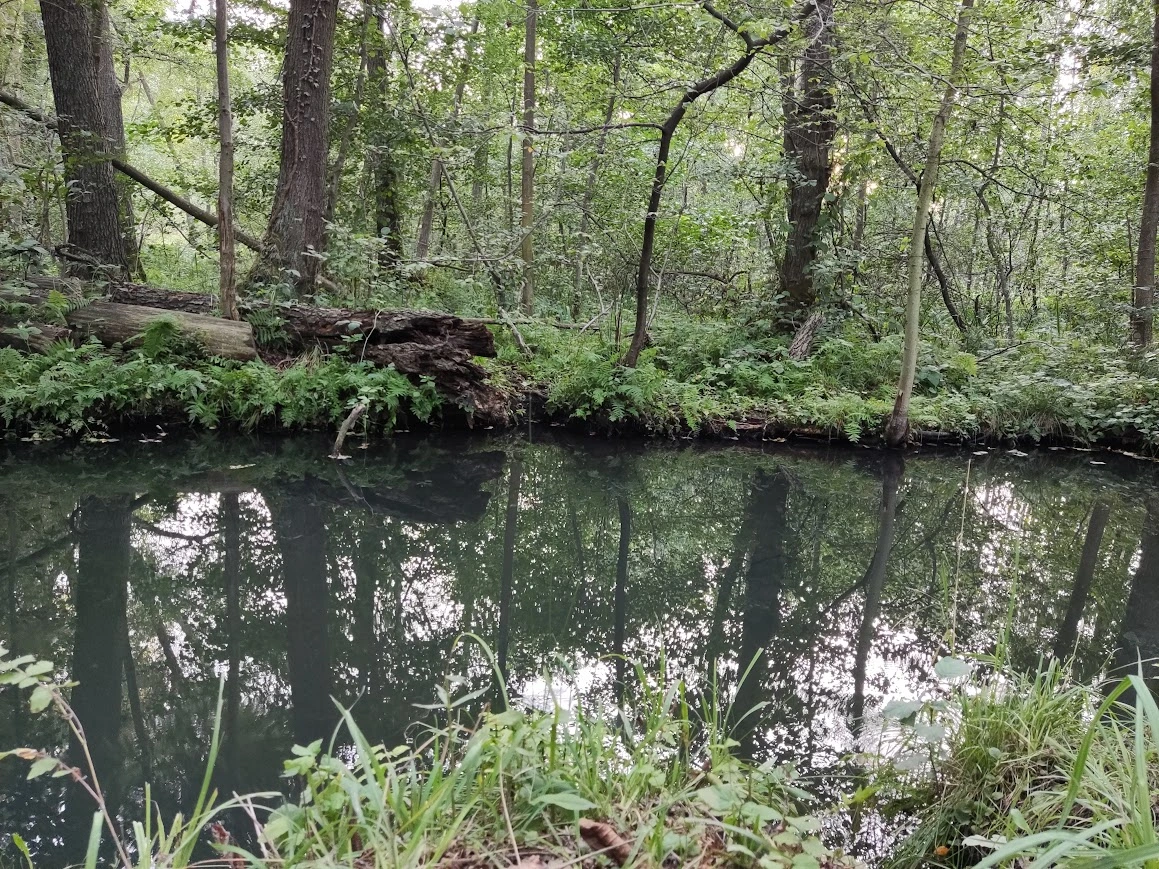 Biosphärenreservat Spreewald