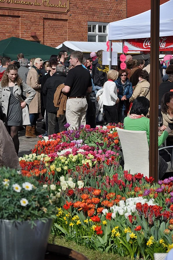 tulpenfest potsdam